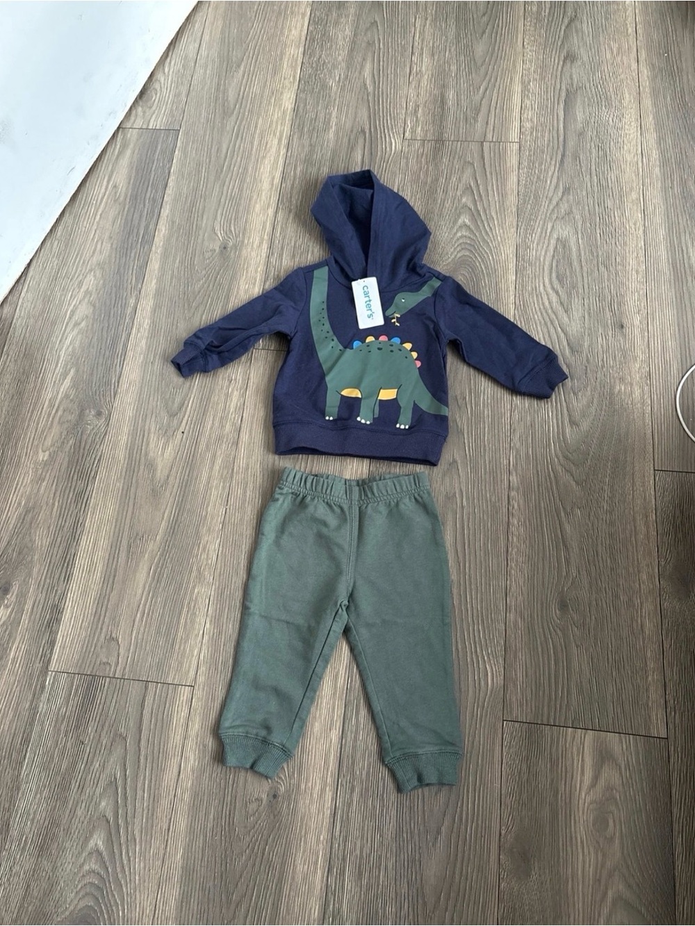 Carter's Baby Boy Dinosaur Two piece Hoodie Set